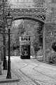 Crich Tramway Museum by Dave Banks Photography