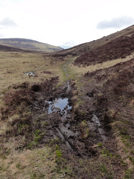 Boggy patch on grass track