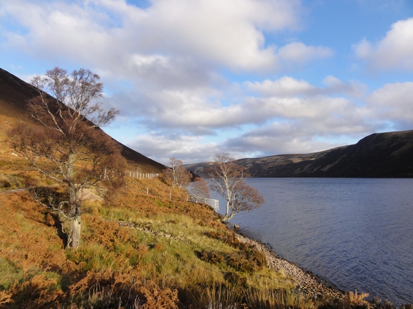 Looking back along Loch Muick