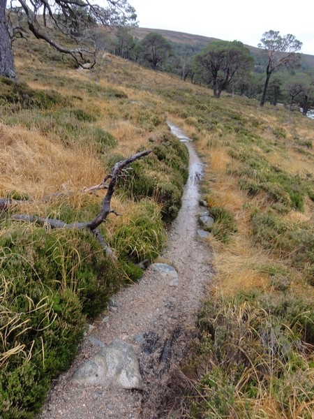 Track climbs away from valley floor