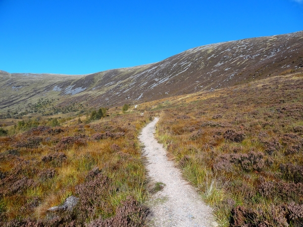 Path ahead after leaving trees