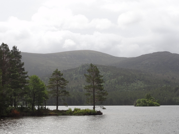 View across Loch an Eilein