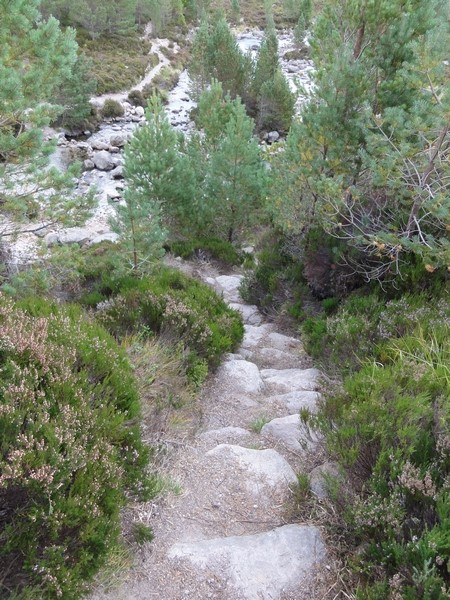 Steps down to river