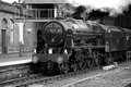 No. 46115 Scots Guardsman in Perth by Dave Banks Photography