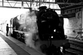 No. 46115 Scots Guardsman in Perth by Dave Banks Photography