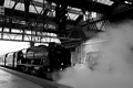 No. 46115 Scots Guardsman in Perth by Dave Banks Photography