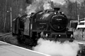 B1, No. 1264 & 45699 Galatea arriving at Pitlochry by Dave Banks Photography