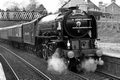 No. 60163 Tornado at Invergowrie by Dave Banks Photography