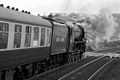 No. 60163 Tornado at Invergowrie by Dave Banks Photography