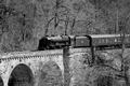 No. 46115 Scots Guardsman at Killiecrankie viaduct by Dave Banks Photography