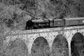 No. 46115 Scots Guardsman at Killiecrankie viaduct by Dave Banks Photography