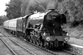 Flying Scotsman, Strathspey Railway by Dave Banks Photography