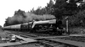 Flying Scotsman, Strathspey Railway by Dave Banks Photography