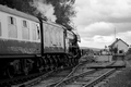 Flying Scotsman, Strathspey Railway by Dave Banks Photography