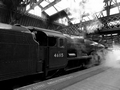 No. 46115 Scots Guardsman in Perth by Dave Banks Photography