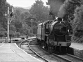 Black 5 No. 5025, Strathspey Railway by Dave Banks Photography