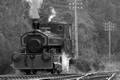 Bon Accord, Strathspey Railway by Dave Banks Photography