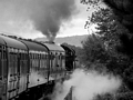 No. 46512, Strathspey Railway by Dave Banks Photography