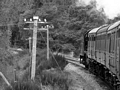 No. 46512, Strathspey Railway by Dave Banks Photography