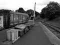 Beamish by Dave Banks Photography