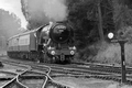 Flying Scotsman, Strathspey Railway by Dave Banks Photography