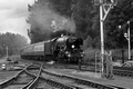 Flying Scotsman, Strathspey Railway by Dave Banks Photography