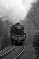 Black 5 No. 45212 leaving Dunkeld by Dave Banks Photography