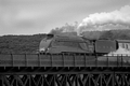 No. 4464 Bittern leaving North Queensferry by Dave Banks Photography