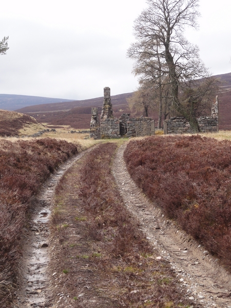 Track to Bynack Lodge