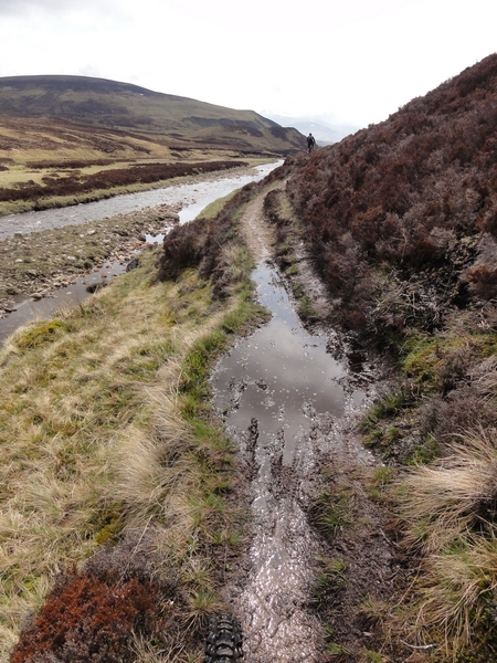 Boggy single track