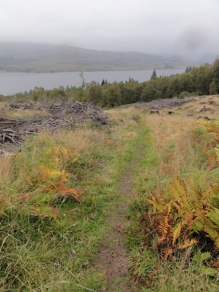 Singletrack down to Loch Venachar