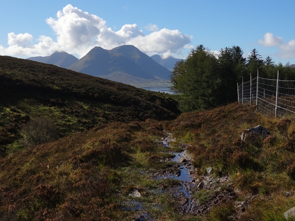 The view back showing how boggy it is by Dave Banks Photography