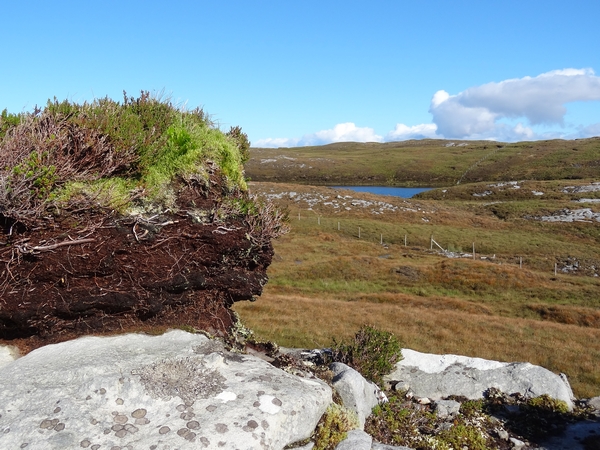 The effects of peat errosion by Dave Banks Photography