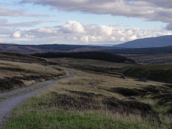 Track heading to Dalnacardoch Wood